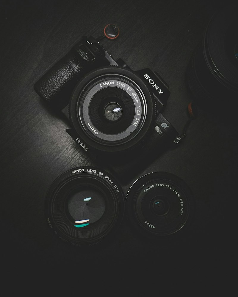 Sessão fotográfica profissional na viagem — foto 1