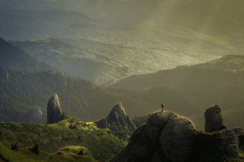Sessão fotográfica profissional na viagem — foto 3